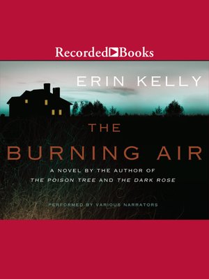 cover image of The Burning Air